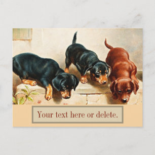 Cartão Postal Personalizado Vintage Retro Engraçado Cachorrinhos