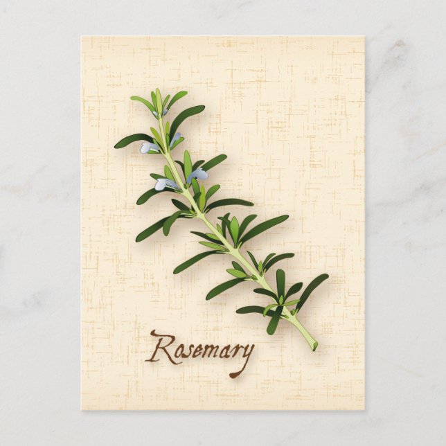 Cartão Postal Personalizar Cartão-Postal Rosemary Herb (Frente)