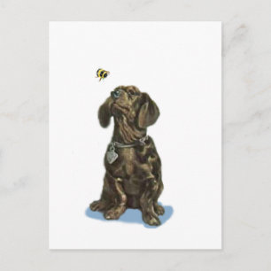 Cartão Postal Personalizar Dachshund e presentes de arte de abel