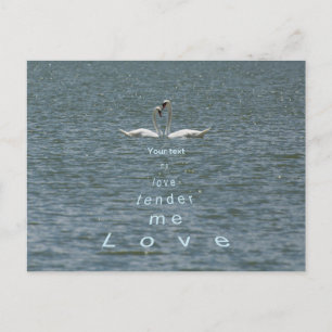 Cartão Postal Personalizar Dois Swans Ame-me amando