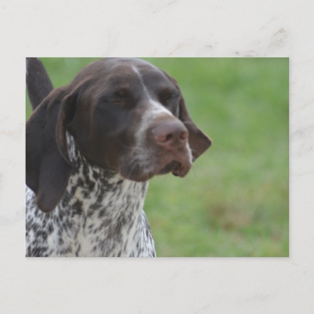 Cartão Postal Personalizar produto (Frente)