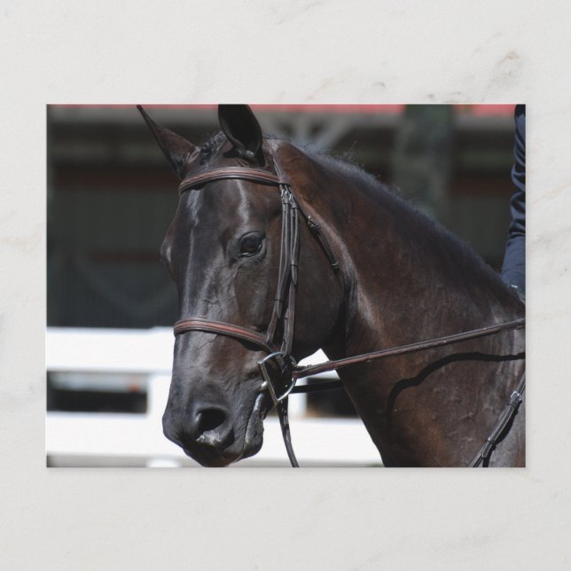 Cartão Postal Personalizar produto (Frente)