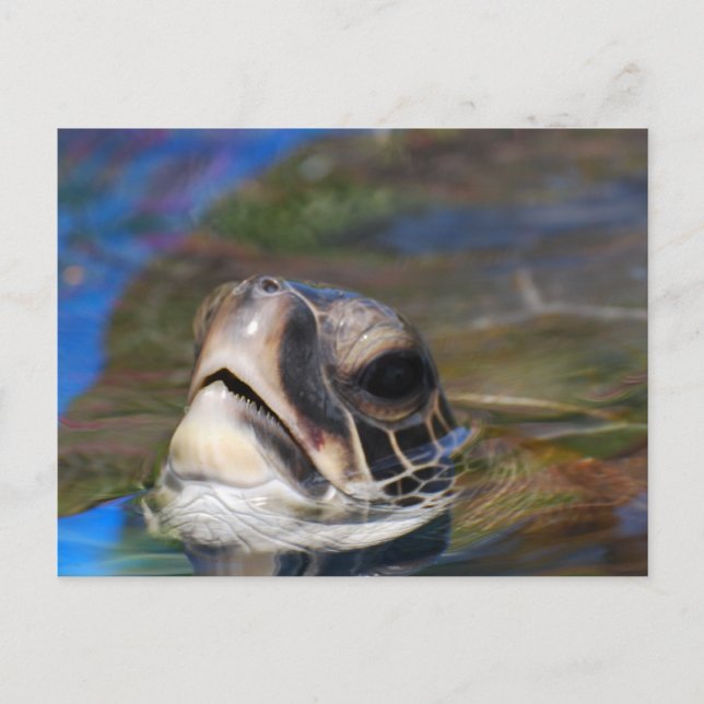 Cartão Postal Personalizar produto (Frente)