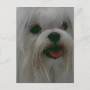 Cartão Postal Personalizar produto