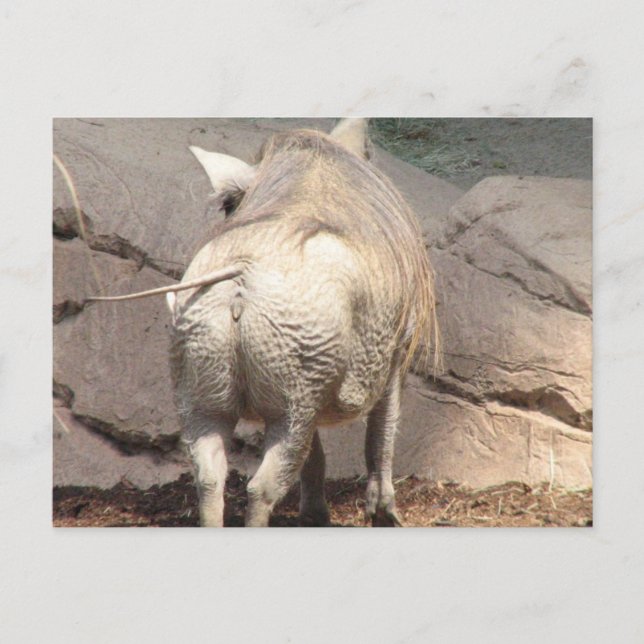 Cartão Postal Personalizar produto (Frente)