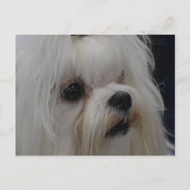 Cartão Postal Personalizar produto (Frente)