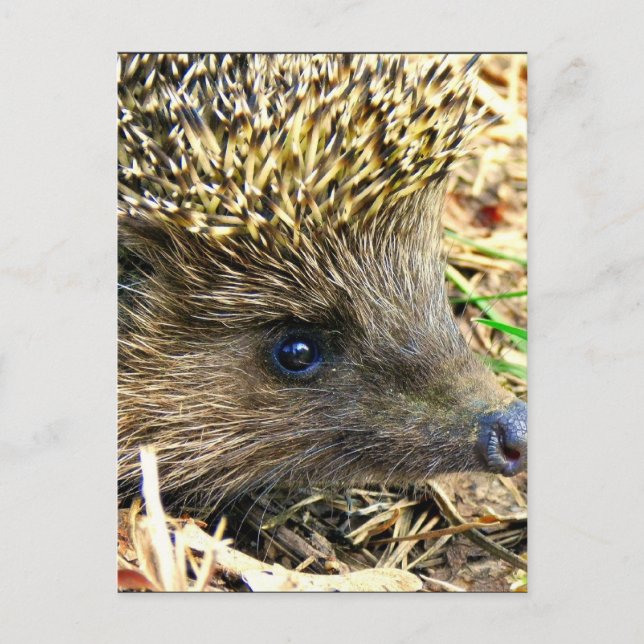 Cartão Postal Personalizar produto (Frente)