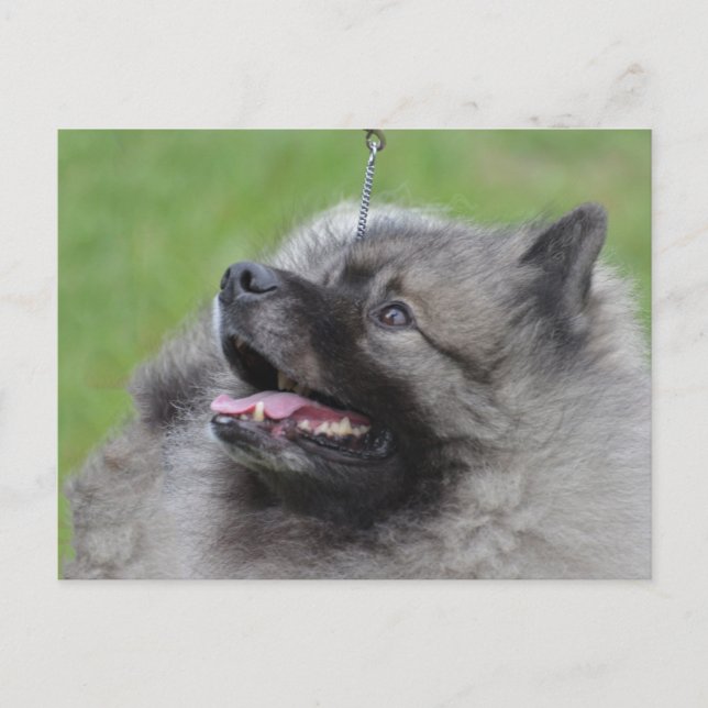 Cartão Postal Personalizar produto (Frente)