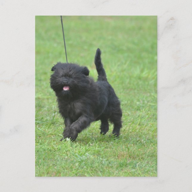 Cartão Postal Personalizar produto (Frente)