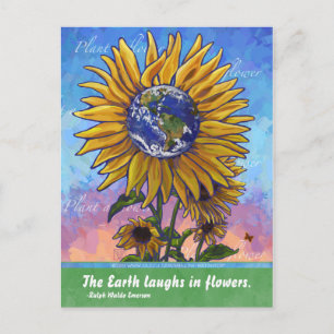 Cartão Postal Personalizar produto