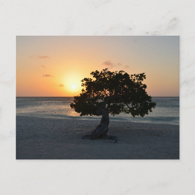 Cartão Postal Personalizar produto (Frente)