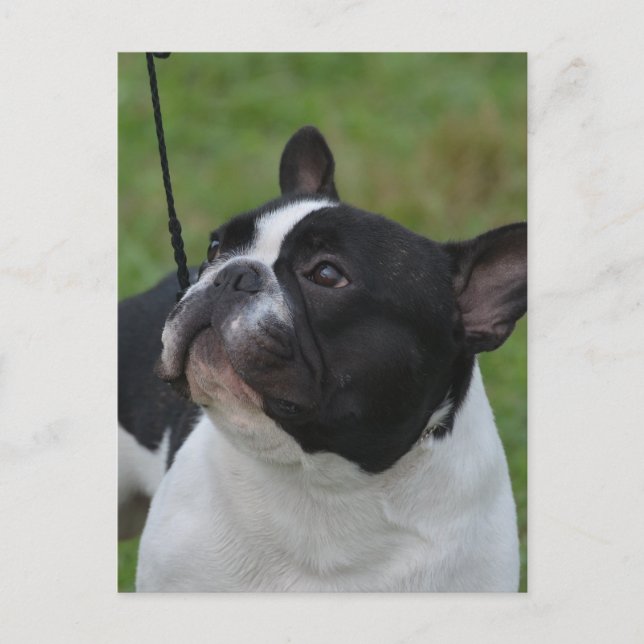 Cartão Postal Personalizar produto (Frente)