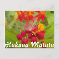 Personalizar produto