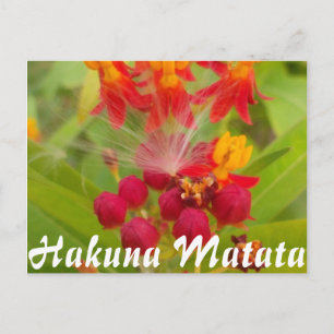 Cartão Postal Personalizar produto