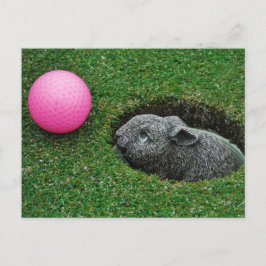 Cartão Postal Personalizar produto