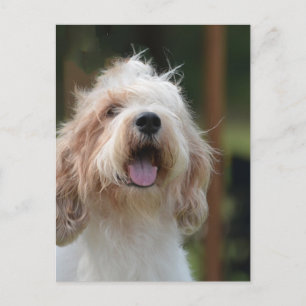 Cartão Postal Personalizar produto