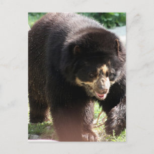 Cartão Postal Personalizar produto