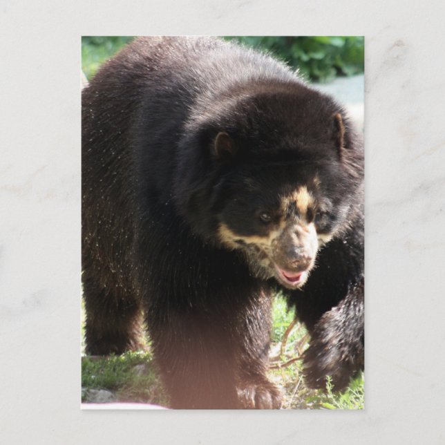 Cartão Postal Personalizar produto (Frente)