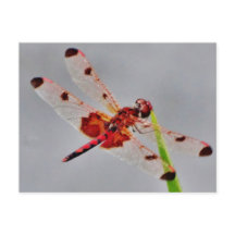 Personalizar produto