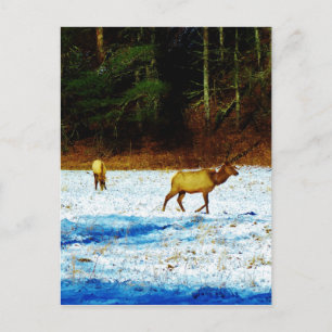 Cartão Postal Personalizar produto