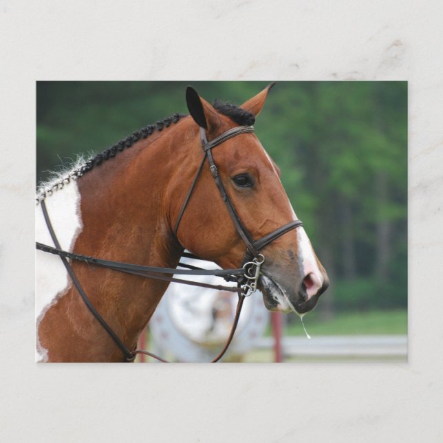 Cartão Postal Personalizar produto (Frente)