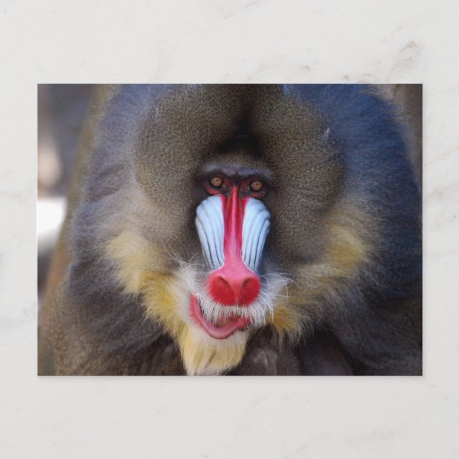 Cartão Postal Personalizar produto (Frente)