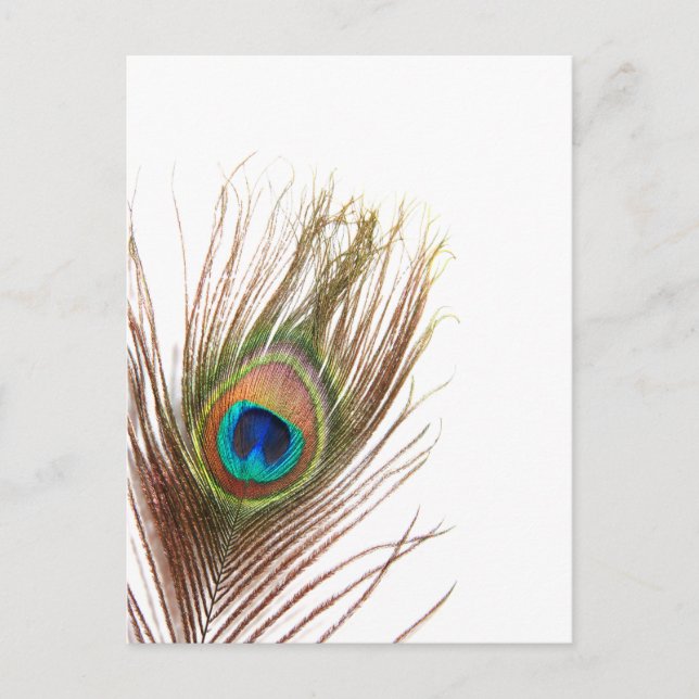 Cartão Postal Personalizar produto (Frente)