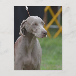 Cartão Postal Personalizar produto