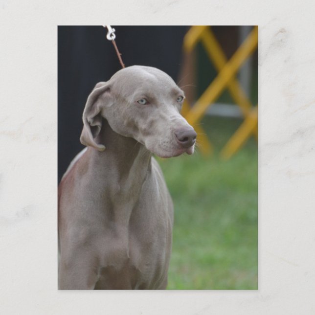 Cartão Postal Personalizar produto (Frente)