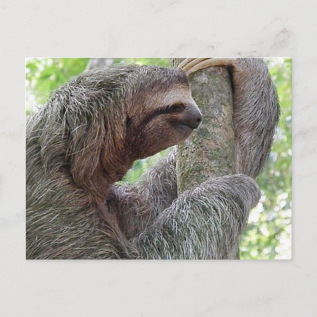 Cartão Postal Personalizar Produto (Frente)