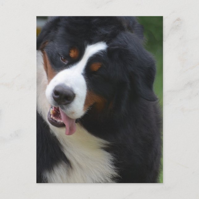 Cartão Postal Personalizar produto (Frente)