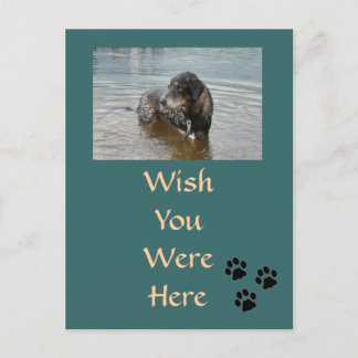 Cartão postal personalizável