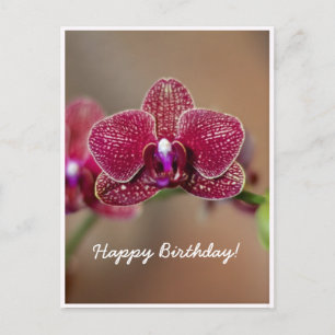 Cartão Postal Personalizável Bela Orquídea Vermelha de Aniversár
