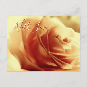 Cartão postal personalizável com Rosa de amor