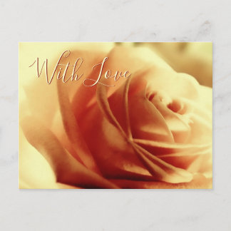 Cartão postal personalizável com Rosa de amor