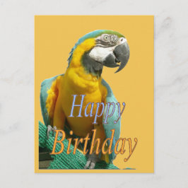 Cartão postal personalizável de aniversário do Par