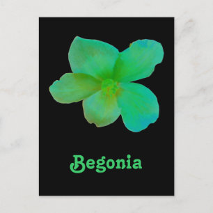 Cartão postal personalizável para Begonia Verde