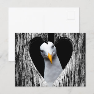 Cartão Postal Personalize com seu próprio Pic!
