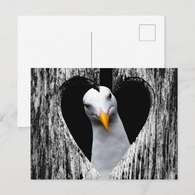 Cartão Postal Personalize com seu próprio Pic! (Frente/Verso)