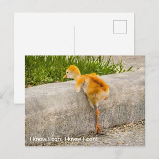 Cartão Postal Personalize franguinho fofo "Eu sei que posso. Eu
