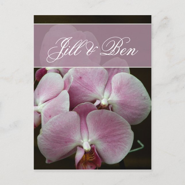 Cartão Postal Personalize seu próprio design de orquídea (Frente)