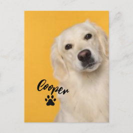 Cartão Postal Personalized Pet  Photo Dog Lover with Photo