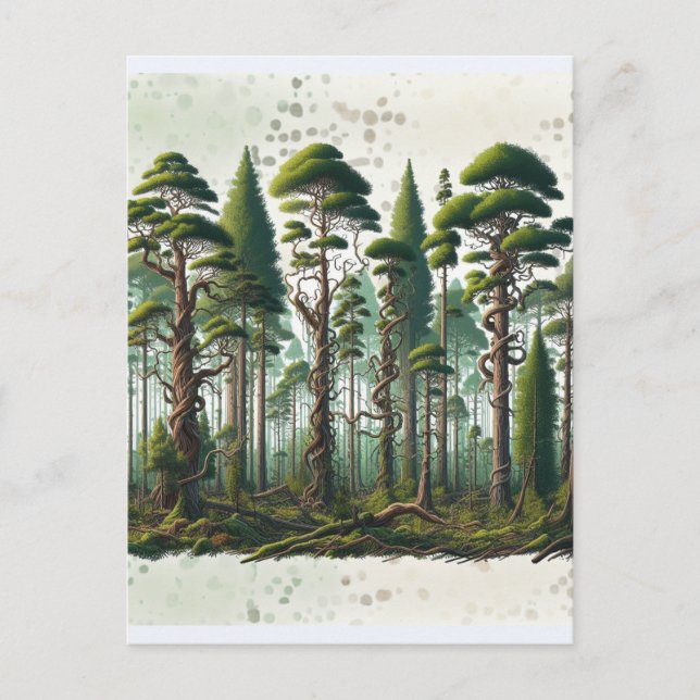 Cartão Postal Perspectiva sobre a Floresta das Árvores (Frente)