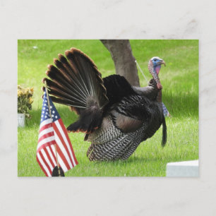 Cartão Postal Peru Patriótico