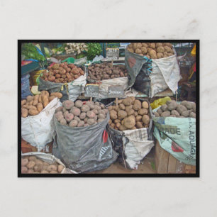 Cartão Postal Peru-Terra de Batatas