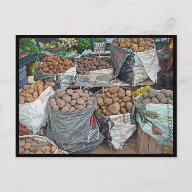 Cartão Postal Peru-Terra de Batatas (Frente)