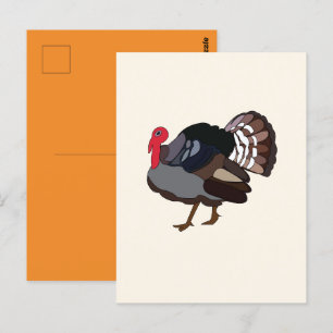 Cartão Postal Peru Turquia Peru