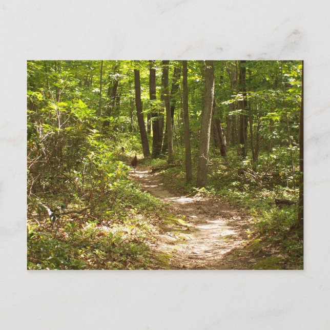 Cartão Postal perus appalachian trail pennPennsylvania (Frente)