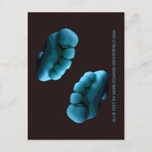 CARTÃO POSTAL PÉS AZUIS POR MARK EDWARD WESTERFIELD 2020