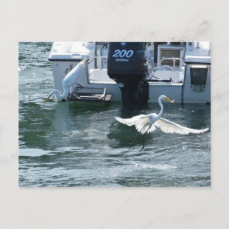 Cartão Postal Pesca com guindaste